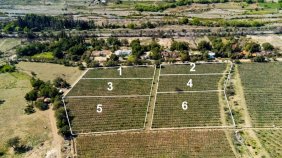 Parcela en Venta en Rural Panquehue, San Felipe de Aconcagua