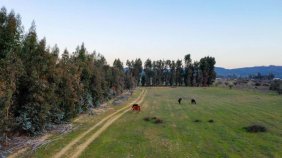 Parcela en Venta en  Pumanque, Colchagua