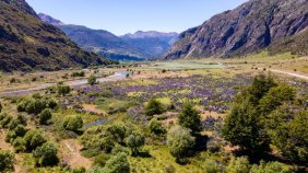 Terreno en Venta en  Aisén, Aisen