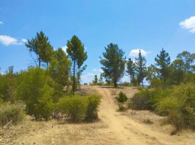 Parcela en Venta en  cauquenes, Cauquenes