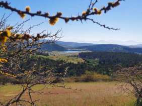 Parcela en Venta en  Marchihue, Cardenal Caro