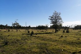 Parcela en Venta en  Puerto Montt, Llanquihue