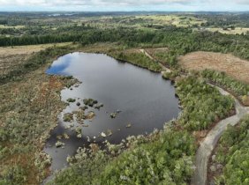 Parcelas con orilla de lago y bosque en Quemchi, Chiloé