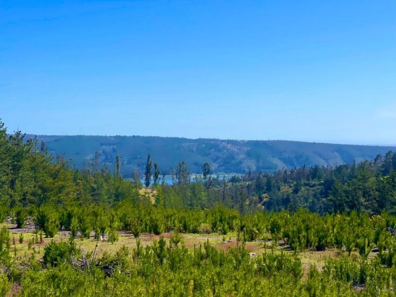 PARCELAS CON VISTA A CAHUIL EN COMUNA DE PICHILEMU ROL PROPIO