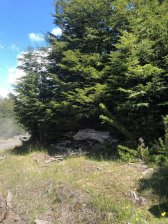 Parcela en Venta en cajon negro Panguipulli, Valdivia