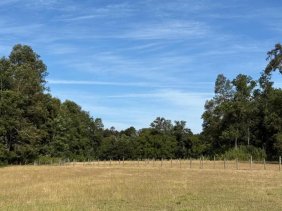 Parcelas de 5.000 m² en Villarrica 