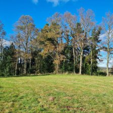 Terreno en Venta en Paraguay Frutillar, Llanquihue