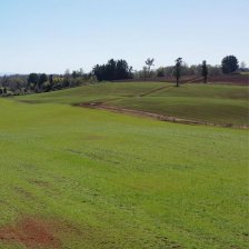 Terreno en Venta en Paraguay Frutillar, Llanquihue