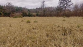 Parcela en Venta en Villarrica Villarrica, Cautin