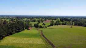 Foto Parcela en Venta en Vivanco, Río Bueno, Valdivia - $ 21.990.000 - PAV125772 - BienesOnLine