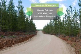 Foto Parcela en Venta en Pichilemu, Cardenal Caro - $ 16.990.000 - PAV87956 - BienesOnLine