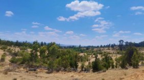 Parcela en Venta en  Cauquenes, Cauquenes