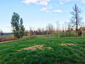 Foto Parcela en Venta en TACAMÓ, Osorno, Osorno - $ 45.000.000 - PAV67353 - BienesOnLine
