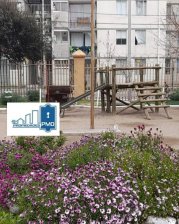 Departamento en Arriendo en  San Felipe, San Felipe de Aconcagua
