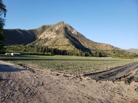 Terreno en Venta en  Catemu, San Felipe de Aconcagua