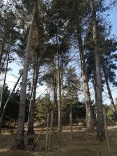 Precioso sitio plano 550 mts2 Camino al Faro, Playa Laguna Verde.