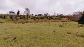 Parcela en Venta en Villarrica Villarrica, Cautin