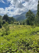 PUCÓN. VENTA PARCELA DE 5000 M2. A 15KM DEL CENTRO. TRUFULCO