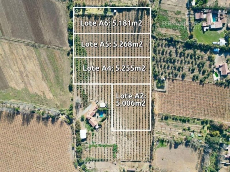 PUTANEDO - VENDE TERRENOS DESDE 5.000M2 - RINCONADA DE SILVA