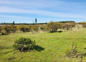 Foto Parcela en Venta en Cauquenes, Cauquenes - $ 17.900.000 - PAV140735 - BienesOnLine