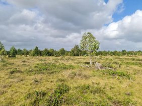 Foto Terreno en Venta en Calbuco, Llanquihue - $ 13.000.000 - TEV149327 - BienesOnLine