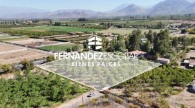 SAN ESTEBAN - VENTA TERRENO 5.000m2 COND. LOS NOGALES