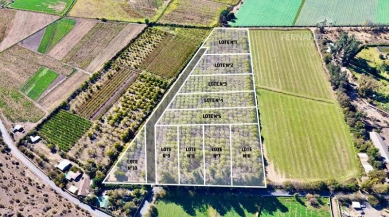 SAN FELIPE - VENDE LOTES DE 5.000m2 - CAMINO CASAS DE QUILPUE