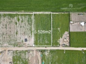 SAN FELIPE - VENDE TERRENO 5.526M2 - BUCALEMU