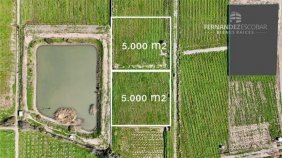 Foto Terreno en Venta en Santa María, San Felipe de Aconcagua - $ 50.000.000 - TEV155275 - BienesOnLine