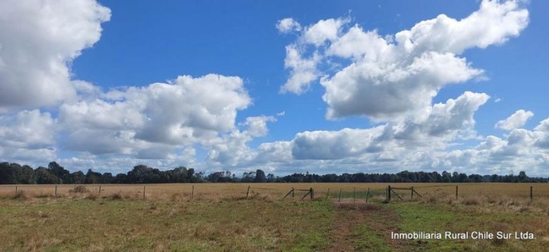 Agricola en Arriendo en Linea sin Nombre Fresia, Llanquihue