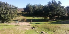 Se vende  4 Hectáreas con nogales y árboles frutales  en  Lliu Lliu, Limache.