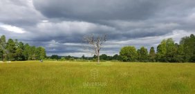 Parcela en Venta en RUNCA MAFIL Valdivia, Valdivia