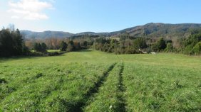 Terreno en Venta en  Paillaco, Valdivia