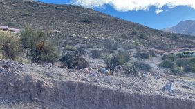 Terreno en Venta en  Rinconada, Los Andes