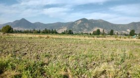 Se vende Parcela Agrícola em Santa Cruz