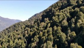 Agricola en Venta en rural Cunco, Cautin