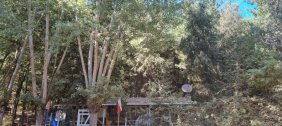 Parcela en Venta en RURAL Coihueco, Ñuble
