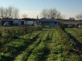 Foto Parcela en Venta en Teno, Curicó - $ 130.000.000 - PAV51968 - BienesOnLine