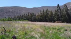 Terreno en Venta en  Sector El Escorial, San Felipe de Aconcagua