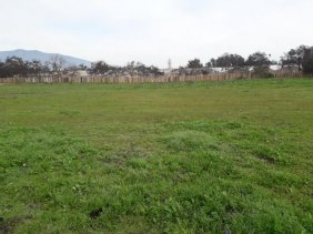 Foto Parcela en Venta en urbana, Olmué, Valparaiso - $ 65.000.000 - PAV147741 - BienesOnLine