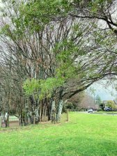 Casa en Venta en  Valdivia, Valdivia