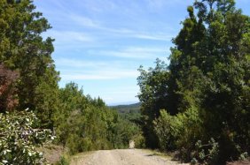 Foto Terreno en Venta en Chaitén, Palena - $ 14.000.000 - TEV89476 - BienesOnLine