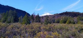 Terreno en Venta en Los Pellines Coihueco, Ñuble