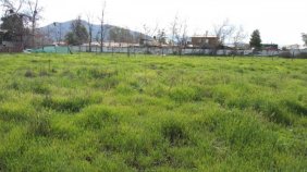 Foto Terreno en Venta en Peñaflor, Peñaflor, Talagante - $ 750.000.000 - TEV125697 - BienesOnLine