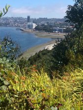 Terreno en Venta en PELLUCO ALTO Puerto Montt, Llanquihue