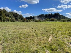 Vende hermosa parcela, Condominio Las Amapolas, Frutillar.