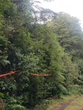 Parcela en Venta en  Puerto Montt, Llanquihue