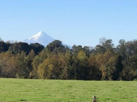 Parcela en Venta en  Puerto Varas, Llanquihue