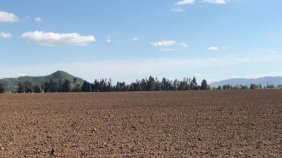 Vendo 110 ha Ñiquen todo plano de riego 