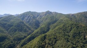 Vendo 250 ha Cordillera de Linares VII Región.